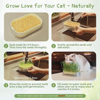 Cat Grass for Indoor Cats with 5 Pack Non GMO Wheat Seeds, Organic Grass Growing Kit, Soil-Free Planter, Perfect for Beginners, Cat Friendly Plants, Ideal Birthday Gift for Cat Lovers