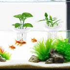 4 PCS Floating Aquarium Plant Holder, Plastic Fish Tank Basket with Foam Rings, Aquatic Pot for Fish Tank Aquaponic Plant Cultivation and Aquascape Decorations