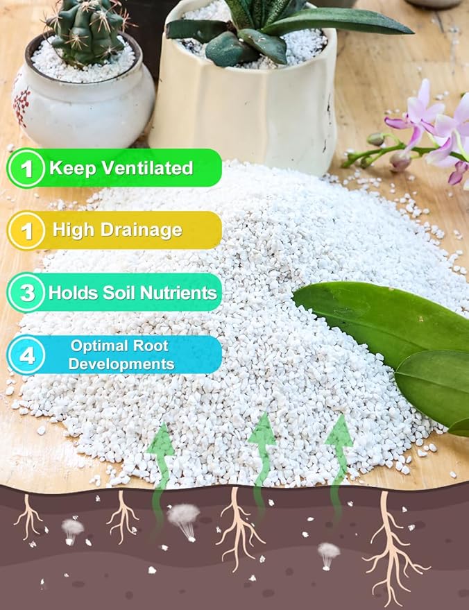 TOYPOPOR Perlite for Plants, (6qt) 3-6mm Organic Perlite for Gardening, Perlite for Plants Indoor, Soil Additive Conditioner Mix Improve Drainage and Ventilation Promote Root Growth and Soil Health