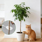 10Pcs 15.7 Inch Plant Pot Grids with 20 U-Shaped Nails, Cuttable Soil Cover Protector Cats, Animals Digging Stopper, Indoor Plant Pot Soil Guard for Outdoor Garden Balcony