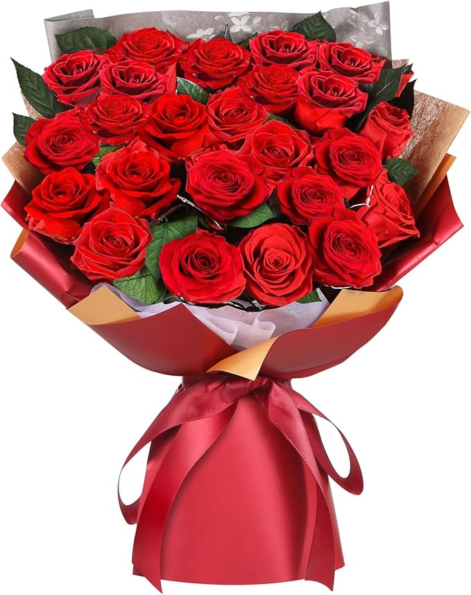 ADDWel 24 Preserved Red Roses Bouquet - Real Roses That Last 3+ Years, Romantic Anniversary & Birthday Gifts for Women, Wife, Girlfriend - Two Dozen Infinity Flowers for Delivery