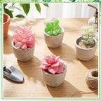 24 Pack Assorted Artificial Succulents in Retro Pulp Pots Bulk Fake Succulent Plants with Vintage Stone-Like Paper Pulp Pots Variety Set for Home, Office & Desk Decor (Various Style)