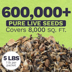 Drought Tolerant Wildflowers Mix – Bulk 5 Pounds – Over 600,000 Open Pollinated Non-GMO Seeds – 21 Different Dryland Species