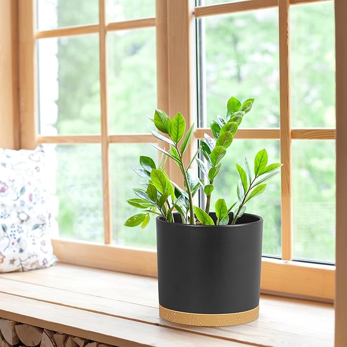 WSMKSZ 8 Inch Cylinder Plant Pots for Indoor Outdoor Plants, Medium Deep Flower Pots with Drainage Holes & Saucer, Decorative Plastic Planter Pots for Garden House Plants, Black with Brown
