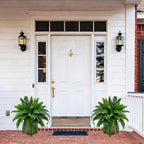 Senjie Artificial Boston Fern 2 Set Large 55 Branches Fake Ferns for Outdoors 34Inch Faux Plant for Home Living Room Office Decor