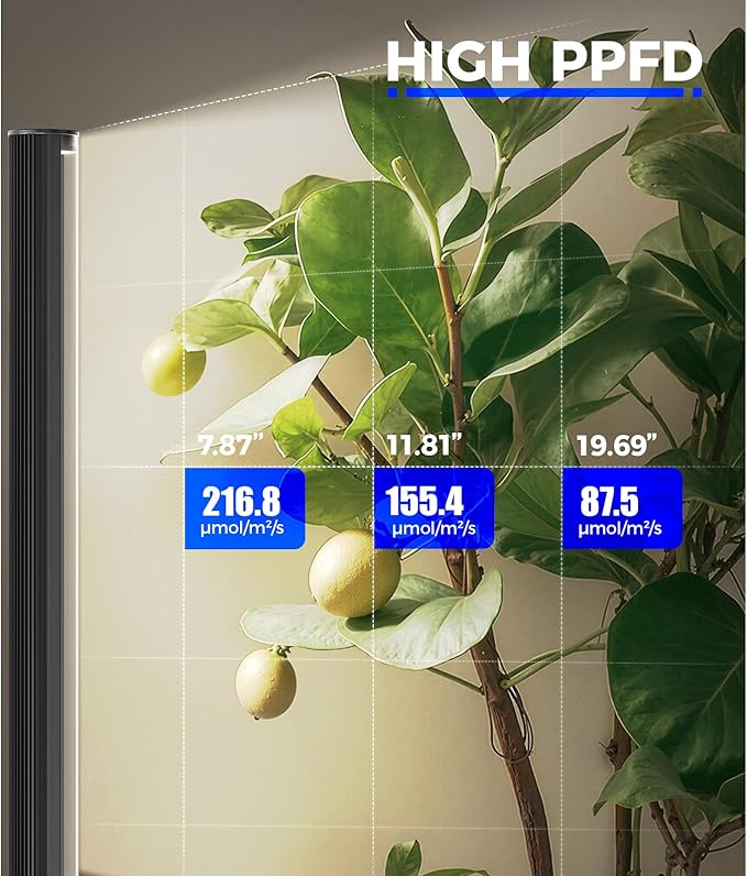 Barrina T1S Standing Grow Light for Indoor Plants with Timer, 65W 660nm High PPFD Full Spectrum, Tera Series Vertical Grow Lights Adjustable Height 5FT-5.6FT, Foot Switch, Non-Glare Design, Black