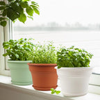 Pottiffe 11 Inch Plastic-Flower-Pot-for-Indoor-Plants, 4 Pack Large Outdoor Planter Pot with Drainage Holes & Saucers, Resin Decorative Garden Pots Planters