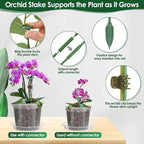 9 Pack Plastic Orchid Pots with Holes, 4, 5, 6 Inch Clear Orchid Pots for Repotting with Saucers Drainage and Plant Stakes, Large Small Breathable Orchids Planter Plant Pot