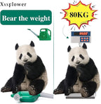 XXXFLOWER 1.5 Gallon Green Watering Can Outdoor Garden Flower Plant, Lightweight 6 L Water Cans with Detachable Nozzle Watering Pot for Office House Garden