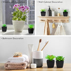 6 Pack Artificial Succulents Plants Potted Small Fake Greenery Plant Realistic in Black Pots for Office Desk Halloween Decorations Bedroom Living Room Shelf Bathroom Decor