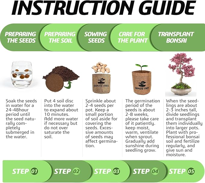 Bonsai Tree Kit with Complete Growing Starter Kit, Great Potted Growing DIY Gift for Adults