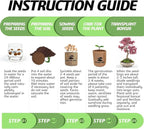 Bonsai Tree Kit with Complete Growing Starter Kit, Great Potted Growing DIY Gift for Adults