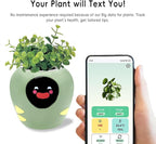 Smart Plant Pot with Expression, AI Intelligent Flower Pot for Indoor Decoration, Smart Garden Pot with Water/Light/Temperature Sensors, Ivy AI Planter (Green（Big）)