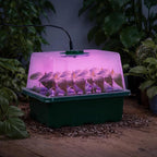Bonviee 5 Packs Seed Starter Tray with Plant Light, Elevated Seedling Starter Trays Kits with Adjustable Humidity Domes and Clear Cell Tray, 12 Full Spectrum led lamp Beads for Plants Indoor-Green