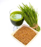 Todd's Seeds Wheatgrass Seeds; Hard Red Winter Wheat, Non-GMO, Chemical Free, High Germination (5 Pounds)