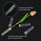 MECCANIXITY 25 Pcs Floral Water Tubes with Caps 2.8" Plastic Flower Vials for Fresh Plants, Flower Arrangements, Milkweed Cutting (Clear)