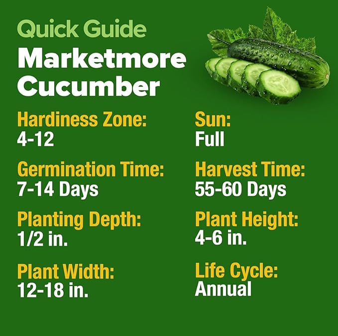 HOME GROWN Organic Marketmore Cucumber Seeds 200+ Heirloom Non-GMO Seeds for Planting, High Germination, Hardy & Vigorous Slicing Cucumber, Trellis & Raised Bed Garden (Cucumis sativus)