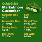 HOME GROWN Organic Marketmore Cucumber Seeds 200+ Heirloom Non-GMO Seeds for Planting, High Germination, Hardy & Vigorous Slicing Cucumber, Trellis & Raised Bed Garden (Cucumis sativus)