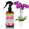 Gardenera Professional Orchid Spray Fertilizer Mist for Home Gardening | 3-1-2 Gentle Blend Mist for Healthy Leaves & Growth | Essential Nutrients for Orchids - 8oz