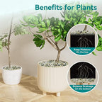 2.5 lbs Jade Pebbles for Indoor Plants, 3/8" Plant Rocks for Pots Indoor, Decorative Small Stones for Plants, Bamboo,Vase, Succulent, Highly Polished Small River Rocks