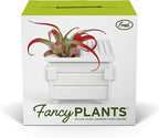 Fred Fancy Plants Dumpster Shaped Air Plant Holder - Unique Ceramic Planter for Tillandsia & Small Air Plants - Decorative Indoor Display for Office Desk, Bookshelf, Coffee Table