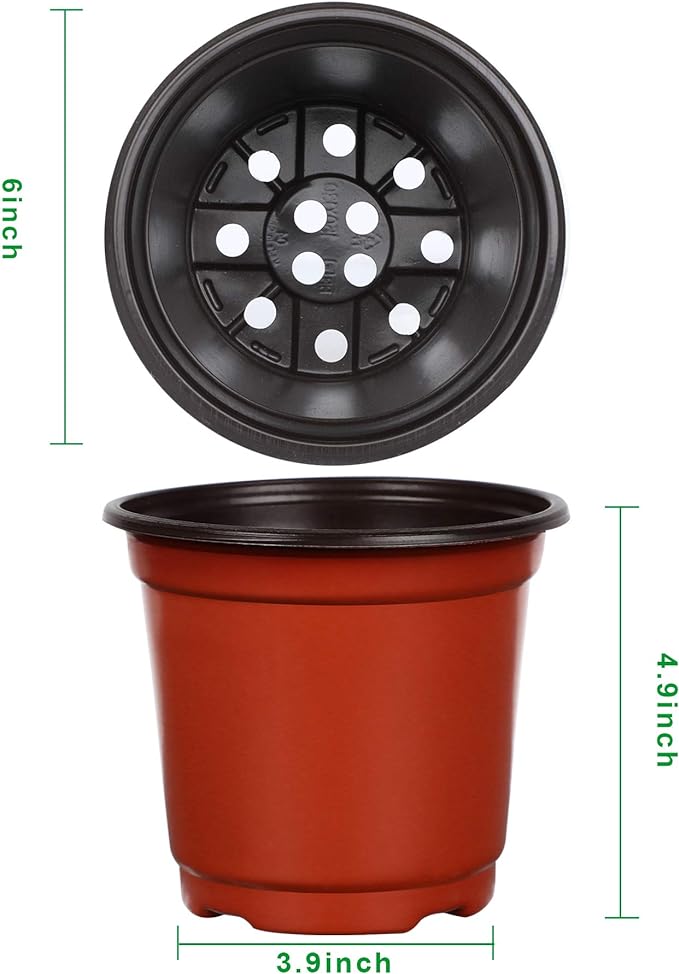 Augshy 110 Pcs 6" Plastic Plants Nursery Pot, Seed Starting Pots for Succulent Seedling Cutting Transplanting