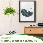 JPSOR Faux Plants Indoor, Pothos Small Fake Plants for Home Decor Indoor Fake Potted Plant Artificial Plants for Living Room Shelf Home Office Decor（White Ceramic Pot）
