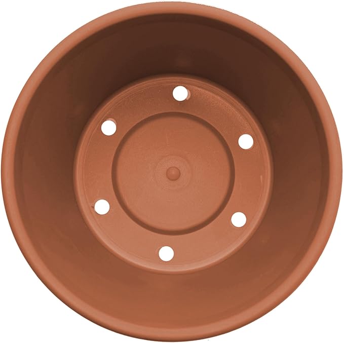 Bloem Terra Pot Planter: 12" - Terra Cotta - Durable Resin Pot, for Indoor and Outdoor Use, Gardening, 3.5 Gallon Capacity, Saucer Sold Separately