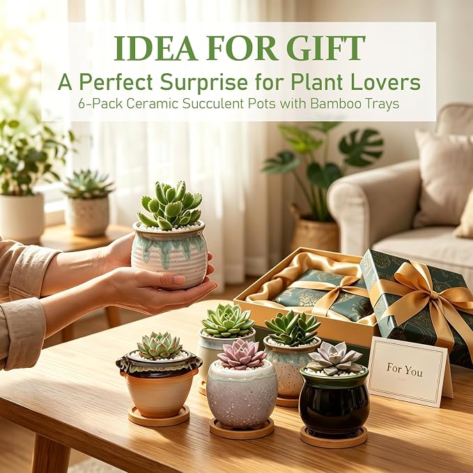 3.5 Inch Succulent Pot with Drainage,Planting/Flower Pots,Small Planter for Mini Plant Ceramic Flowing Glaze Base Serial Set with Holes