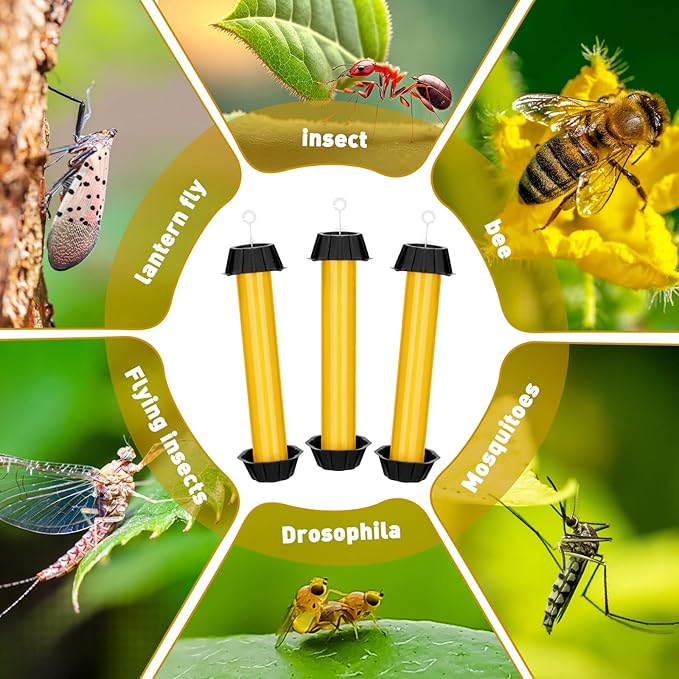 Qualirey Fly Traps for Indoor Outdoor Hanging Fruit Fly Stick Trap Sticky Mosquito for Home Insect 10 x 2.5 Inches(Yellow,8 Pcs)