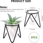 Jspupifip 3 Pcs Glass Plant Terrarium with Metal Stand, Air Plants Holders Hydroponic Plant Vases Desktop Bulb Glass Vase for Indoor Plants Home Garden Office Decoration, Black