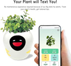 Smart Plant Pot with Expression, AI Intelligent Flower Pot for Indoor Decoration, Smart Garden Pot with Water/Light/Temperature Sensors, Ivy AI Planter (White（Big）)