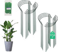 Tall Heavy-Duty 24in Plant Support Stakes - 16 Pack Peony Cages & Supports for Outdoor Plants, Half-Round Garden Stakes for Hydrangea, Roses with Extension Stakes