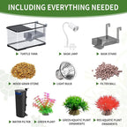 (Tank + Light + Filter + Filter Balls) Turtle Tank Kit, Turtle Tank Starter Kit,Bottom Drainage, Multi-Function Areas for Turtles, Crabs,Fishes, Amphibians,Reptiles. (21.65 × 12.28 × 12.28 Inch)