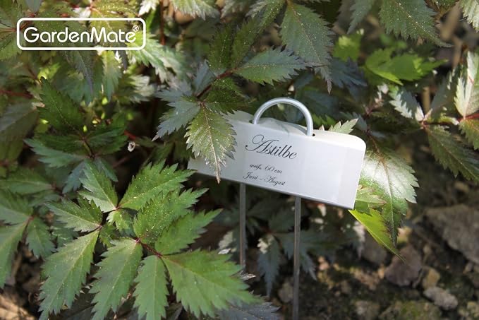 GardenMate 25-Pack Weatherproof Mini Metal Plant Labels, Height 5 3/4'', Label Area 7/8'' x 2 1/2''