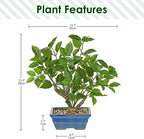 Fake Plants Small Artificial Plants Indoor 15.3" Fake Potted Plants Realistic Faux House Topiary Plants with Blue Ceramic Pot for Home Office Bathroom Kitchen Farmhouse Table Centerpieces Shelf Decor