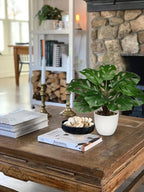 Hollyone Artificial Monstera Plant Faux Monstera Plant Potted Fake Tropical Plants Potted for Indoor Outdoor Home Desk Office Garden Farmhouse Decoration