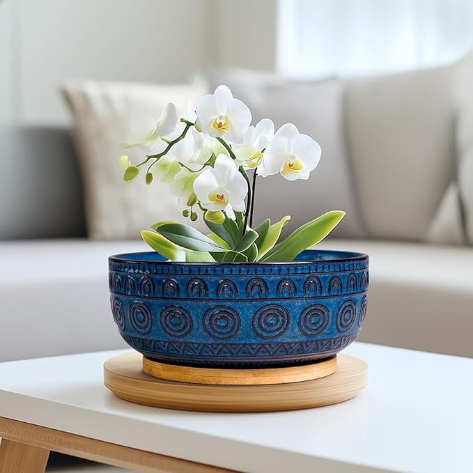 Eightpot Bonsai Pots 8 Inch - Ceramic Succulent Pots for Indoor Plants, Shallow Round Planters with Drainage Hole and Saucer, Boho Bonsai Bowl, Home Decor, Blue
