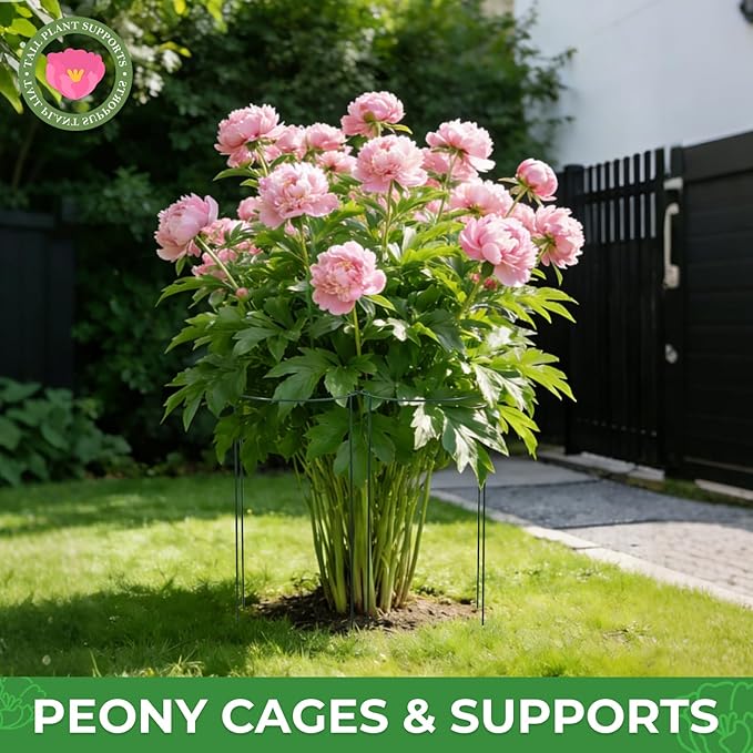 LEOBRO Plant Support Plant Stakes, 12pcs Peony Cages and Supports, Metal Garden Stakes Plant Supports, Plant Support Stakes, for Peony, Tomato, Hydrangea, Indoor Outdoor Plants, 10" W x 24" H