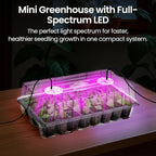 Bonviee 2-Pack Seed Starter Tray with Plant Light, Elevated Seedling Starter Trays Kits with Adjustable Humidity Domes and Clear Cell Tray, 12 Full Spectrum Led Lamp Beads for Plants Indoor-Clear