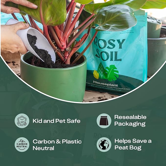 Rosy Soil Indoor Plant Parent Gift Set for Mother's Day - Houseplant Potting Soil with Modern Sprout Terracotta Watering Bulb, Soil Scoop, Plant Brush & Tweezers