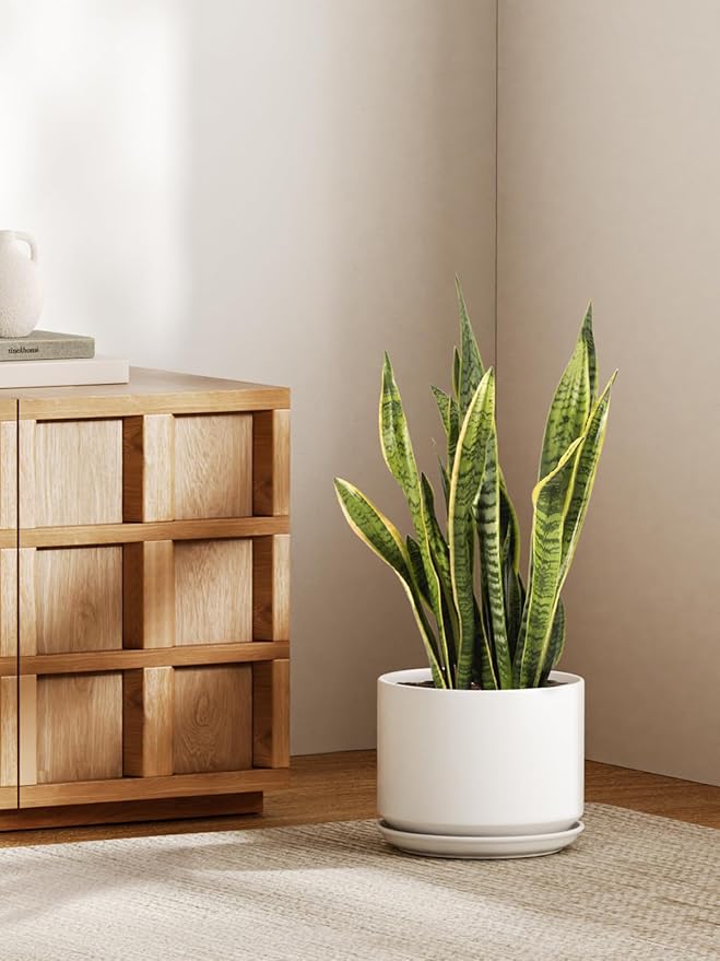 Ceramic Pots for Plants, 10 Inch Plant Pot with Drainage Hole & Saucer, Sturdy & Modern Planters for Indoor Plants, Includes Mesh Screen, Fits Snake Plant & Monstera, White