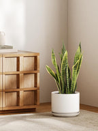 Ceramic Pots for Plants, 10 Inch Plant Pot with Drainage Hole & Saucer, Sturdy & Modern Planters for Indoor Plants, Includes Mesh Screen, Fits Snake Plant & Monstera, White
