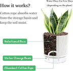 Self Watering Pots for Indoor Plants, 6 & 5 & 4 Inch Stylish Flower Pots, Set of 3 Modern Planters with Self-Watering Feature (Black Stripes)