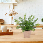 Artificial Fern Potted Plant, 10" Small Fake Plants in Pot, Faux Fern Plant for Home Office Farmhouse Living Room Bathroom Kitchen Tabletop Desk Shelf Decoration
