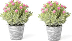 2 Pack Small Desk Plants, Artificial Bathroom Plants Decor with Flower in Vintage Melamine Pots, Faux Plants Indoor for Shelf Decor in Home Office, and Spring Decor (Fuchsia)