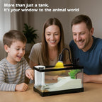 AZV XLarge Turtle Tank Kit,All in One Indoor PC Aquarium,Red Eared Slider Aquatic for Tortoise,Fishes and Amphibians,Include Basking Platform*1,Filter*1,Filter Plates*2,Plants*2,Lamp*1,Bulb*1,Stone*1