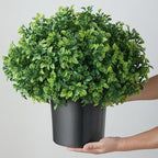 Set of 2 Artificial Boxwood Topiary Ball Trees for Front Door - Realistic Faux Aglaia Odorata Bush with Pot, Fake Eucalyptus Leaves Potted Plants for Porch Farmhouse Outdoor Decor (Green)