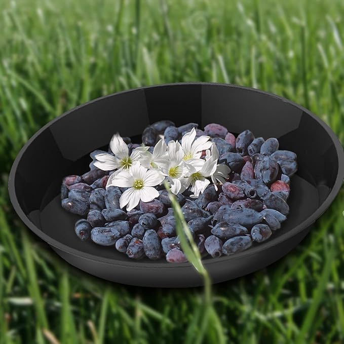 6 Pack Plant Saucer 12 14 16 18 20 22 Inch Plastic Plant Tray, Sturdy and Durable Flower Pot Container Accessories Plant Pot Saucers for Indoor and Outdoor (18 Inch, Black)