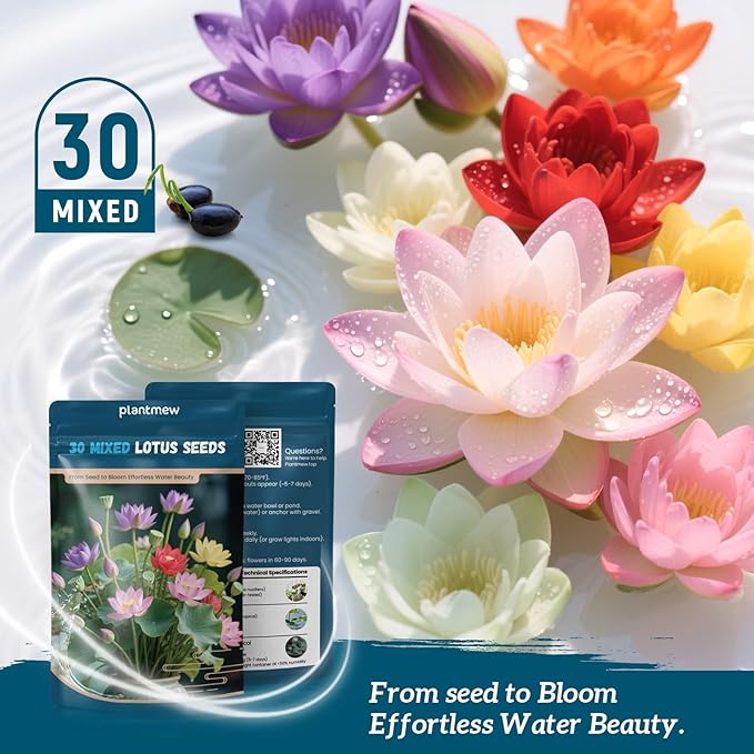 Lotus Seeds for Planting in Water | 30 PCS Mixed Color Bowl Lotus Seeds for Indoor Bonsai, Outdoor Ponds & Garden | Non-GMO Water Lily Aquatic Plant Seeds